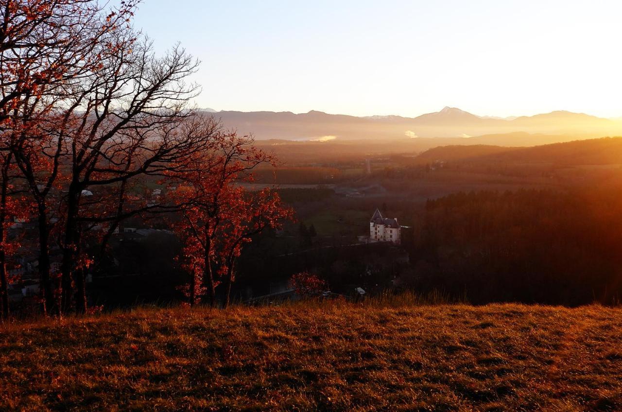 Chateau De Saint-Martory Bagian luar foto